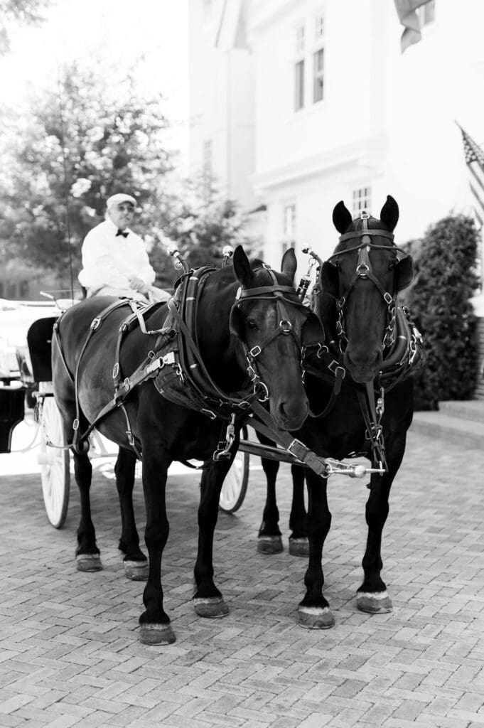 horses pulling carriage on Mackinac Island